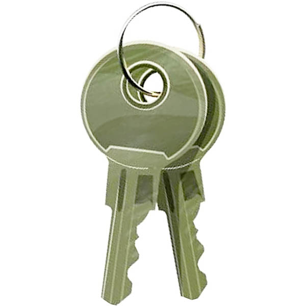 Image for ESSELTE SPARE CASHBOX KEYS ROUND HEAD from Office Fix - WE WILL BEAT ANY ADVERTISED PRICE BY 10%