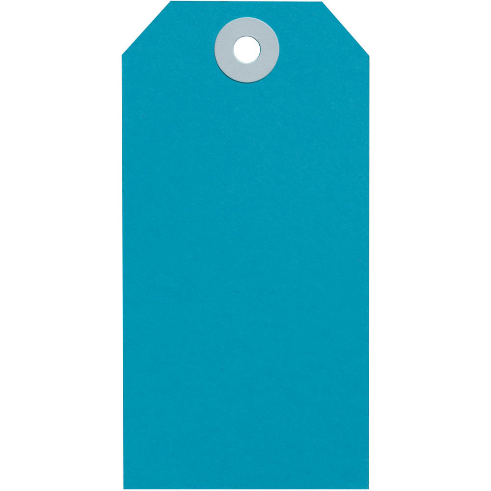 Image for AVERY 14552 SHIPPING TAG SIZE 4 108 X 54MM BLUE BOX 50 from BusinessWorld Computer & Stationery Warehouse