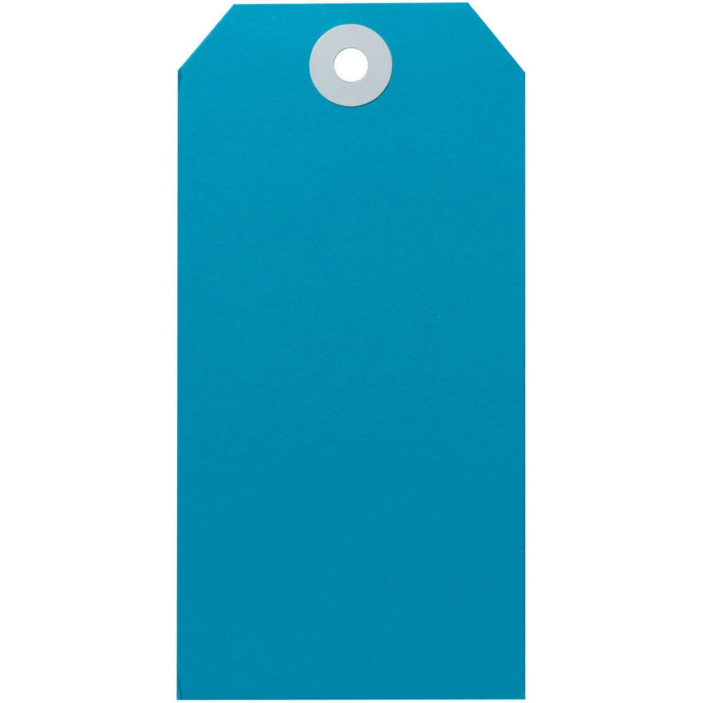 Image for AVERY 15120 SHIPPING TAG SIZE 5 120 X 60MM BLUE BOX 1000 from Mercury Business Supplies