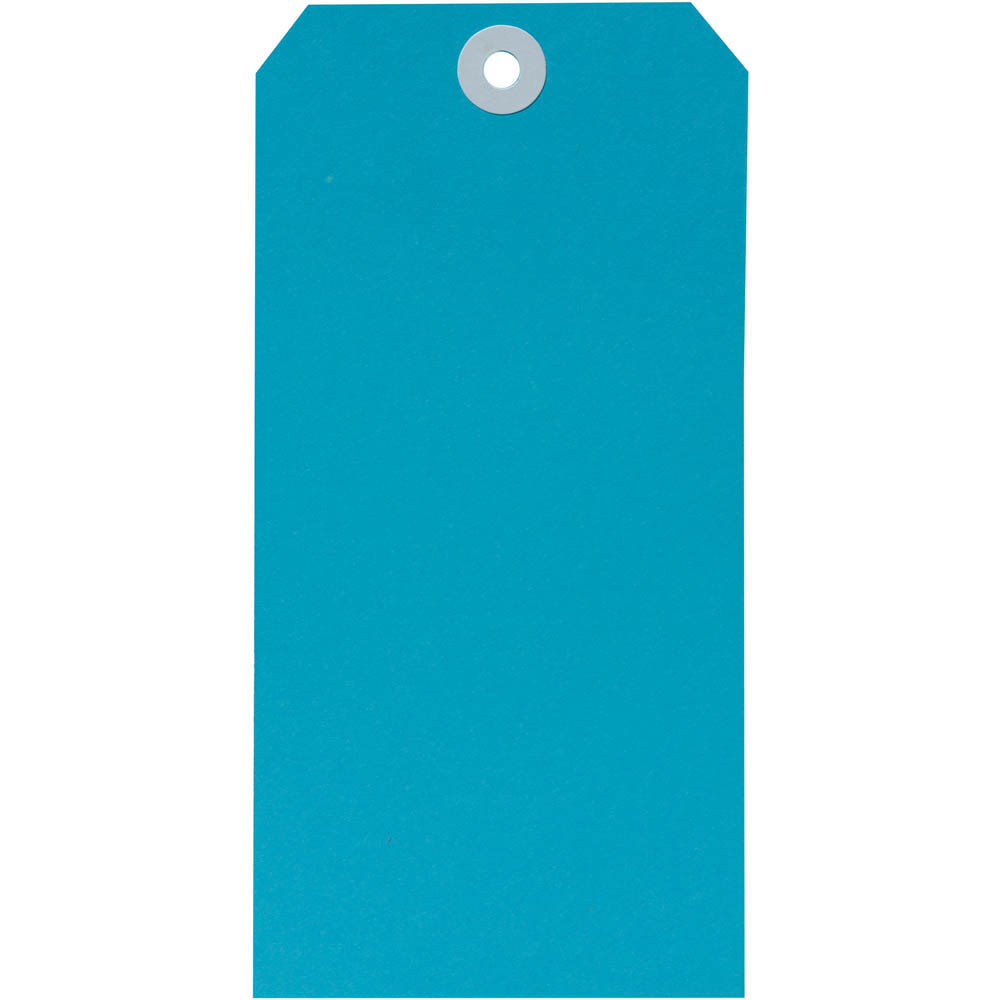 Image for AVERY 18120 SHIPPING TAG SIZE 8 160 X 80MM BLUE BOX 1000 from Challenge Office Supplies