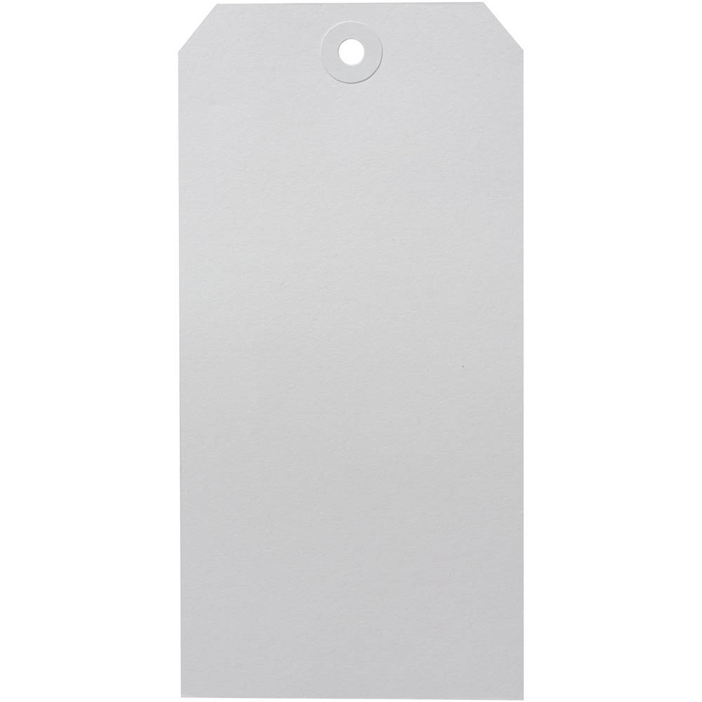 Image for AVERY 18160 SHIPPING TAG SIZE 8 160 X 80MM WHITE BOX 1000 from Office Fix - WE WILL BEAT ANY ADVERTISED PRICE BY 10%