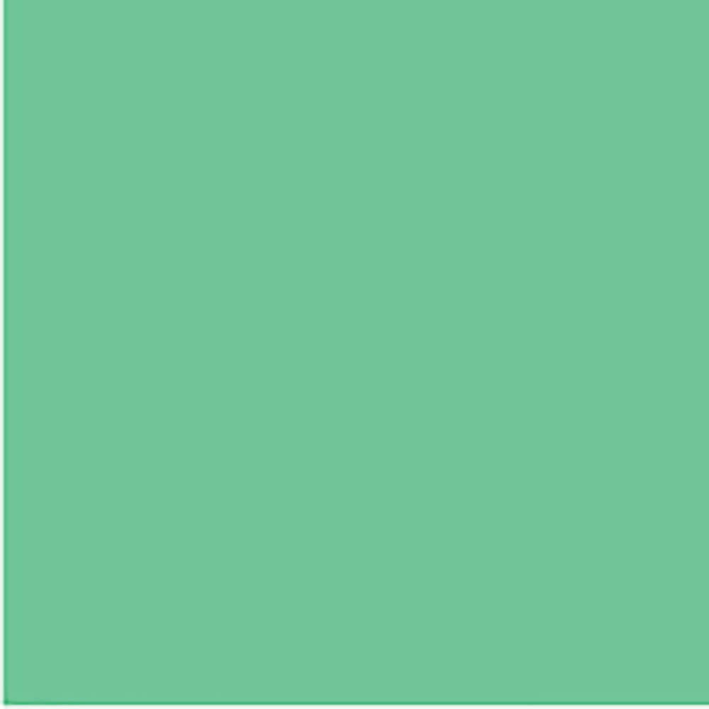 Image for COLOURFUL DAYS COLOURBOARD 200GSM 510 X 640 GREEN from Challenge Office Supplies