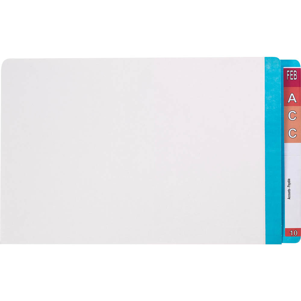 Image for AVERY 42436 LATERAL FILE WITH LIGHT BLUE TAB MYLAR FOOLSCAP WHITE BOX 100 from ONET B2C Store