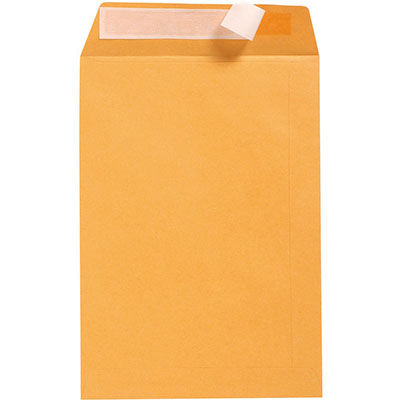 Image for CUMBERLAND DL ENVELOPES POCKET PLAINFACE STRIP SEAL 85GSM 110 X 220MM GOLD BOX 500 from Mitronics Corporation