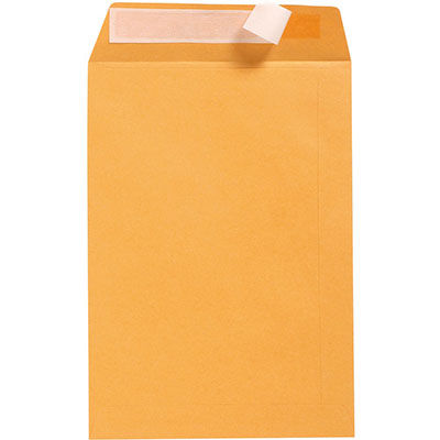 Image for CUMBERLAND DL ENVELOPES POCKET PLAINFACE STRIP SEAL 85GSM 110 X 220MM GOLD BOX 500 from Prime Office Supplies