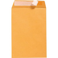 cumberland c4 envelopes pocket plainface strip seal 100gsm 324 x 229mm gold box 250