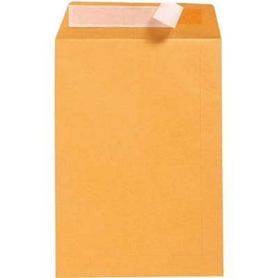 Image for CUMBERLAND ENVELOPES POCKET PLAINFACE STRIP SEAL 100GSM 380 X 255MM GOLD BOX 250 from Challenge Office Supplies