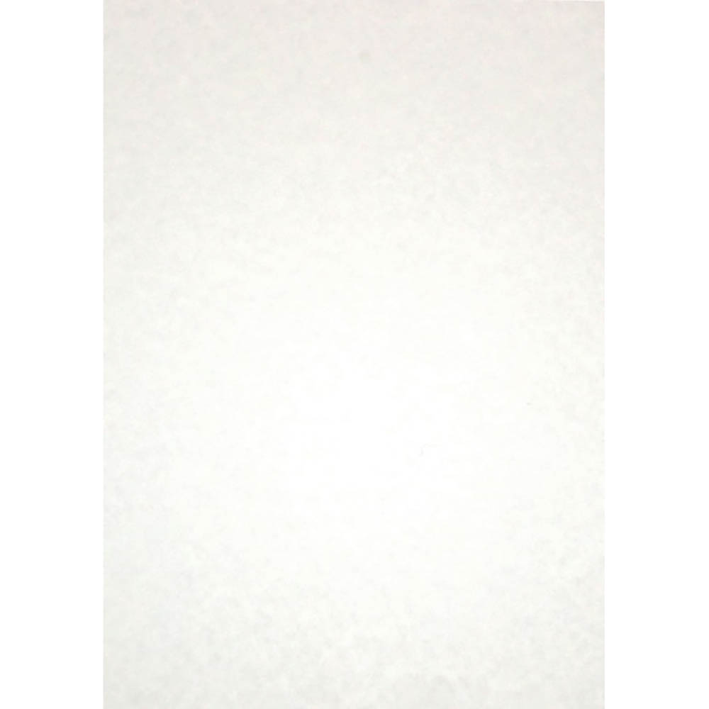 Image for RAINBOW PARCHMENT PAPER A4 90GSM WHITE PACK 100 from Office Heaven