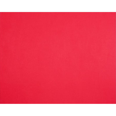 Image for QUILL BOARD 210GSM 510 X 635MM RED from Office Express