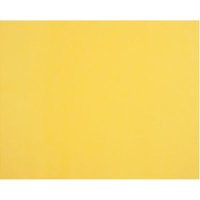 Image for QUILL BOARD 210GSM 510 X 635MM LEMON from Mercury Business Supplies