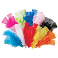 zart feathers 60g assorted