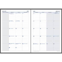 debden dayplanner ex5300 executive edition refill month to view