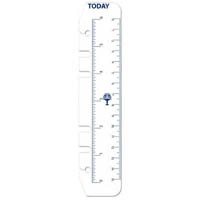 debden dayplanner pr2008 personal edition refill today rulers size pack 2