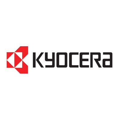Image for KYOCERA DIMM-1GBE MEMORY from Olympia Office Products