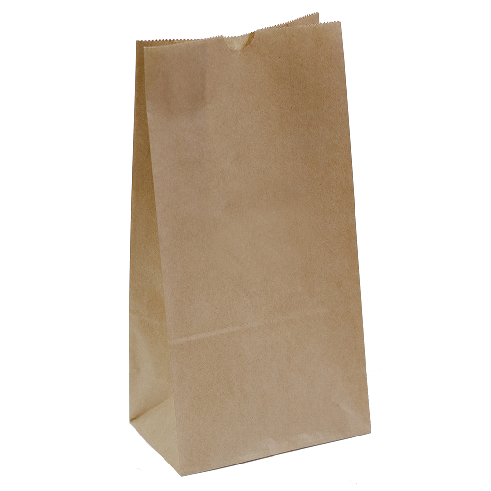 Image for CAPRI PAPER BAG SELF-OPENING SIZE 8 BROWN PACK 1000 from Merv's Stationery