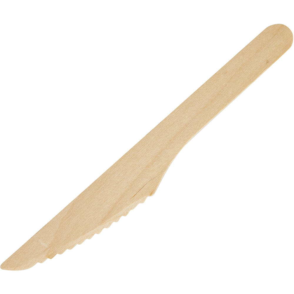 Image for ENVIROCHOICE WOODEN KNIFE 165MM PACK 100 from BusinessWorld Computer & Stationery Warehouse