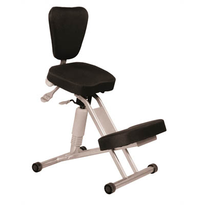 SYLEX PHYSIOFLEX III POSTURE CHAIR |  | 7021232i