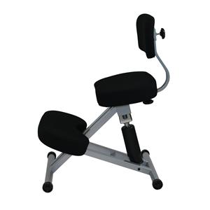 SYLEX PHYSIOFLEX III POSTURE CHAIR |  | 7021232i