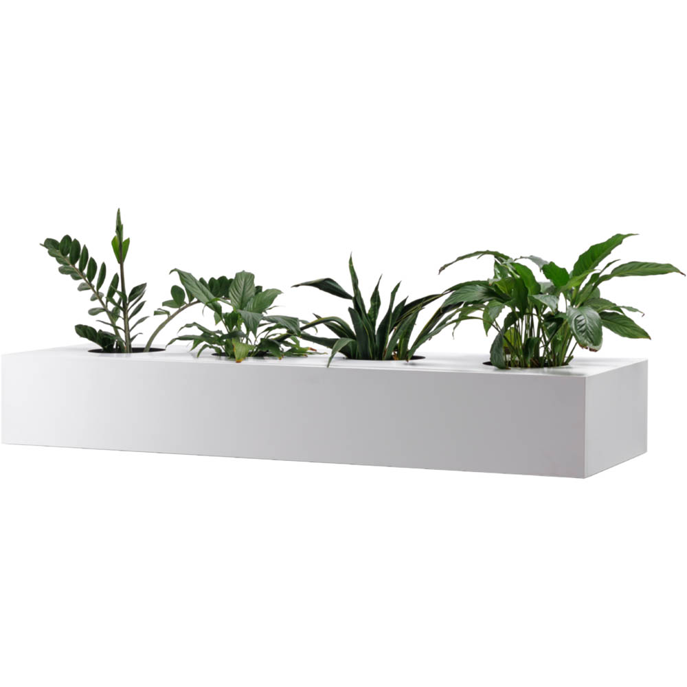 Image for RAPIDLINE GO PLANTER BOX FOR PERFORATED CUPBOARD 1530MM WHITE CHINA from That Office Place PICTON