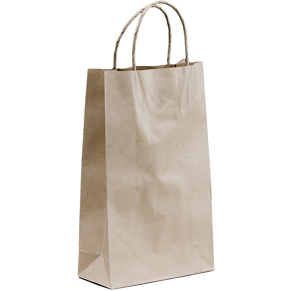 Image for HUHTAMAKI FUTURE FRIENDLY PAPER BAG TWISTED HANDLE 265 X 160MM BROWN PACK 50 from BusinessWorld Computer & Stationery Warehouse