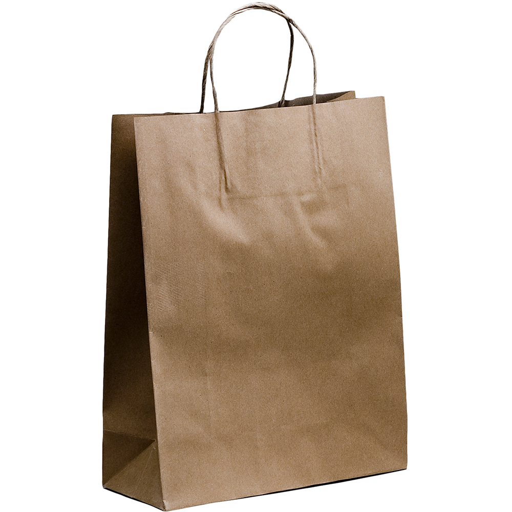 Image for HUHTAMAKI FUTURE FRIENDLY PAPER BAG TWISTED HANDLE 350 X 260MM BROWN PACK 50 from BusinessWorld Computer & Stationery Warehouse
