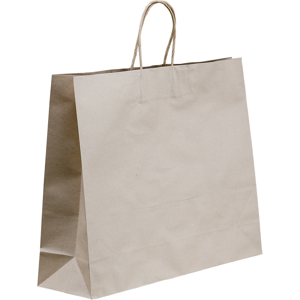 Image for HUHTAMAKI FUTURE FRIENDLY PAPER BAG TWISTED HANDLE 400 X 450MM BROWN PACK 50 from Office Fix - WE WILL BEAT ANY ADVERTISED PRICE BY 10%