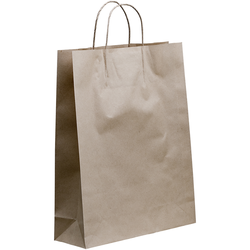 Image for HUHTAMAKI FUTURE FRIENDLY PAPER BAG TWISTED HANDLE 420 X 320MM BROWN PACK 50 from Positive Stationery