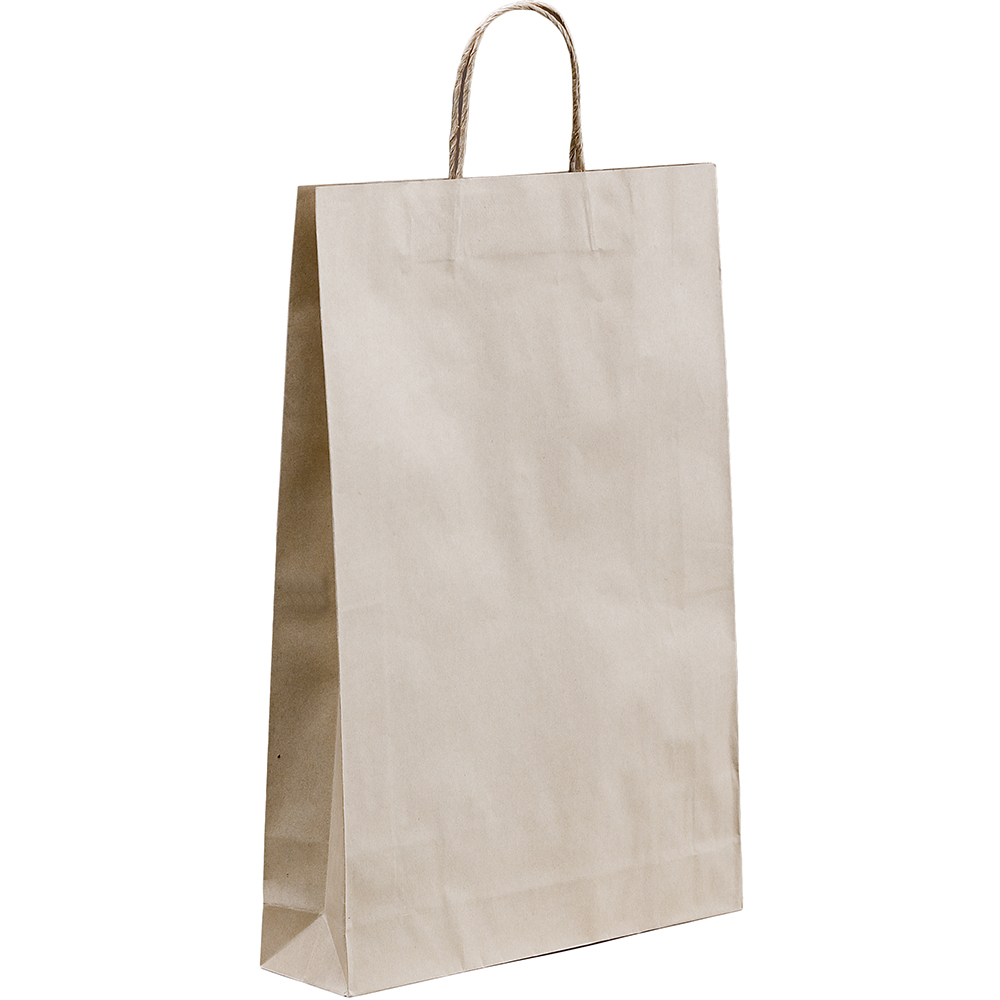 Image for HUHTAMAKI FUTURE FRIENDLY PAPER BAG TWISTED HANDLE 480 X 340MM BROWN PACK 50 from BusinessWorld Computer & Stationery Warehouse