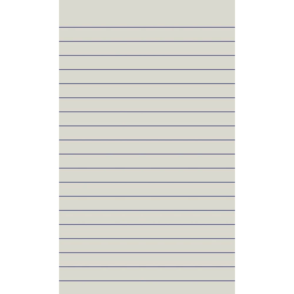 PROTEXT MEMO BOOK 8MM FEINT RULED 60GSM 80 PAGE 165 X 100MM ASSORTED |  | 7032666