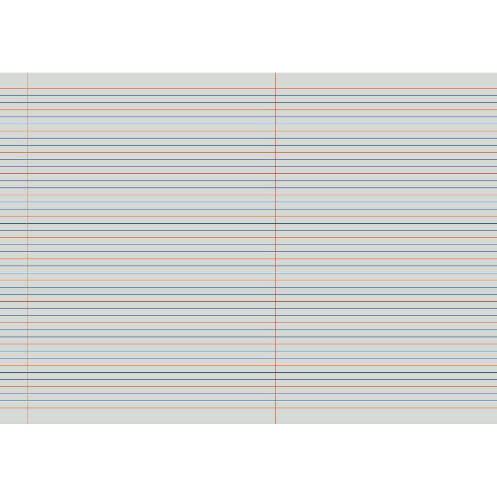 PROTEXT EXERCISE BOOK QLD RULING YEAR 2 18MM 70GSM 48 PAGE 297 X 210MM PENGUIN ASSORTED |  | 7032683i