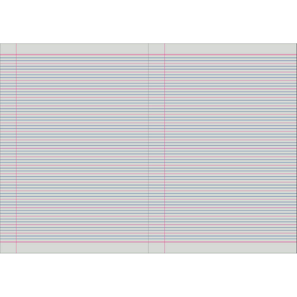 PROTEXT EXERCISE BOOK QLD RULING YEAR 3/4 12MM 70GSM 48 PAGE A4 SNAKE ASSORTED |  | 7032684