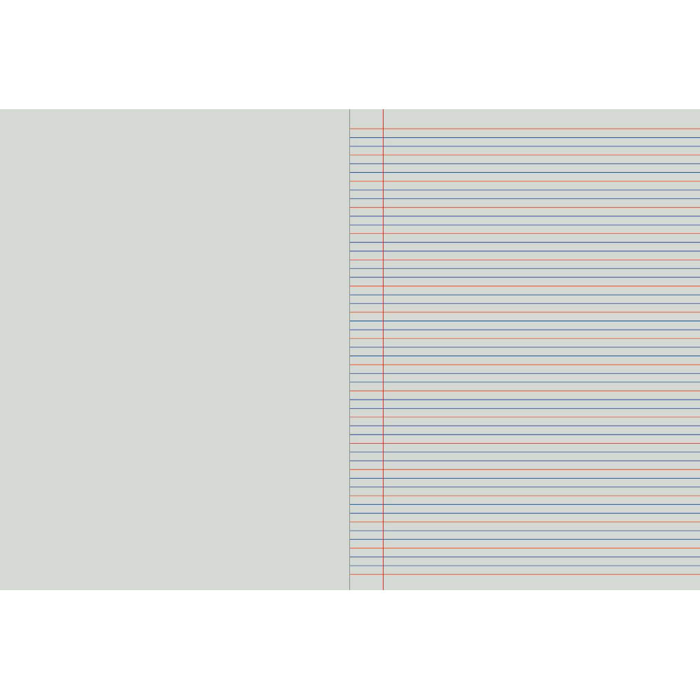WRITER PREMIUM WORKBOOK PLAIN/QLD RULED YEAR 2 64 PAGE 100GSM 330 X 240MM PRAWN |  | 7071941i