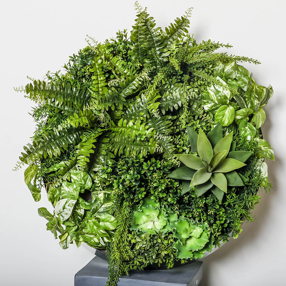 Image for PLANT IMAGE VERTICAL WALL GARDEN ROUND MEDIUM from Office Heaven