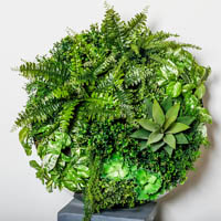 plant image vertical wall garden round medium