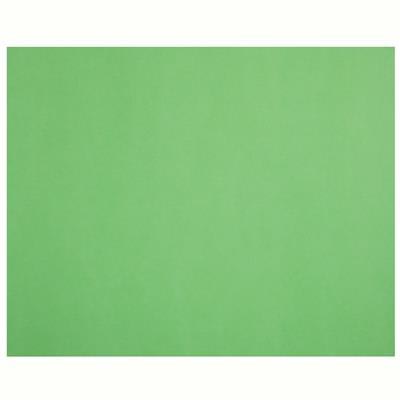 Image for QUILL XL MULTIBOARD 210GSM 510 X 635MM LIME from Olympia Office Products