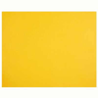 Image for QUILL XL MULTIBOARD 210GSM 510 X 635MM SUNSHINE from Mercury Business Supplies