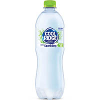 cool ridge lightly sparkling water pet lime 500ml carton 24