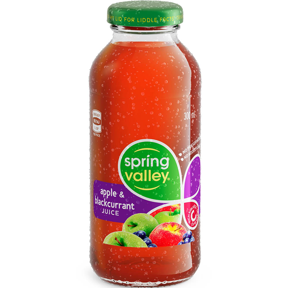 Image for SPRING VALLEY APPLE AND BLACKCURRANT JUICE GLASS 300ML CARTON 24 from Office Heaven