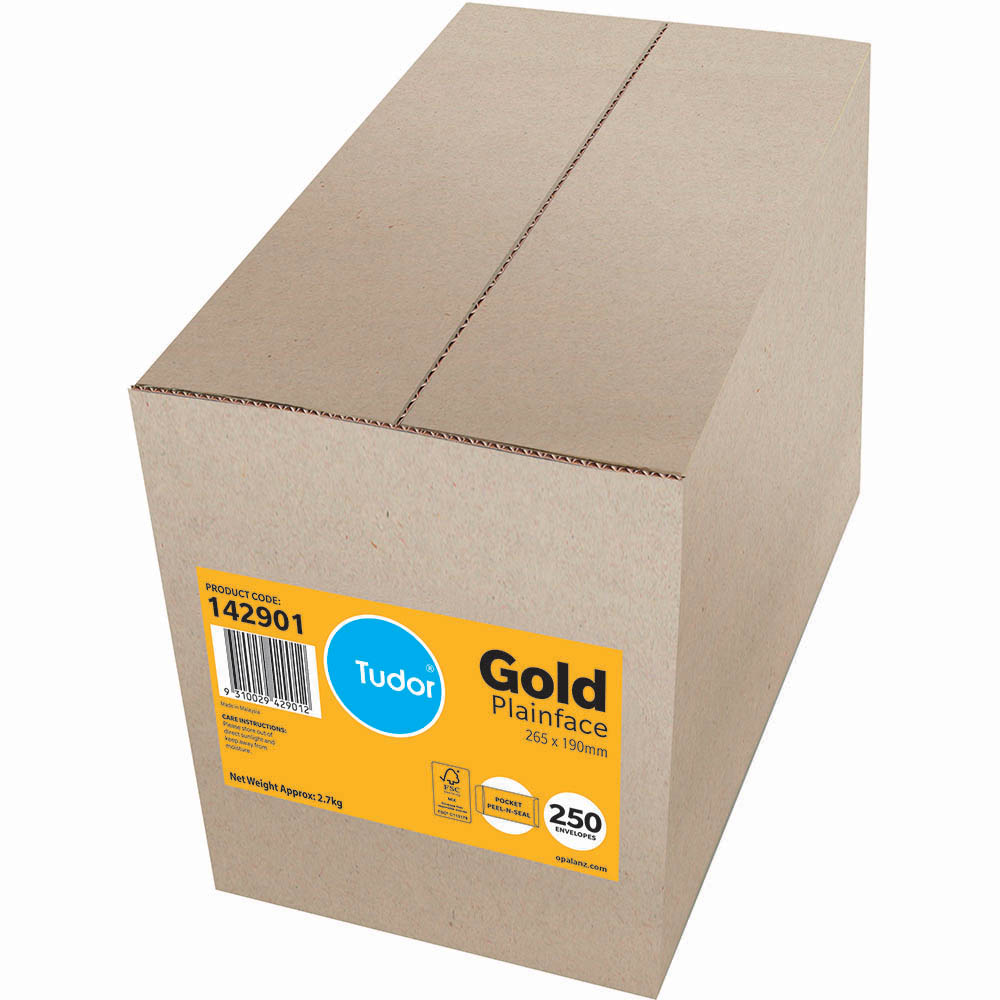 Image for TUDOR ENVELOPES POCKET PLAINFACE STRIP SEAL 80GSM 265 X 190MM GOLD BOX 250 from Office Heaven