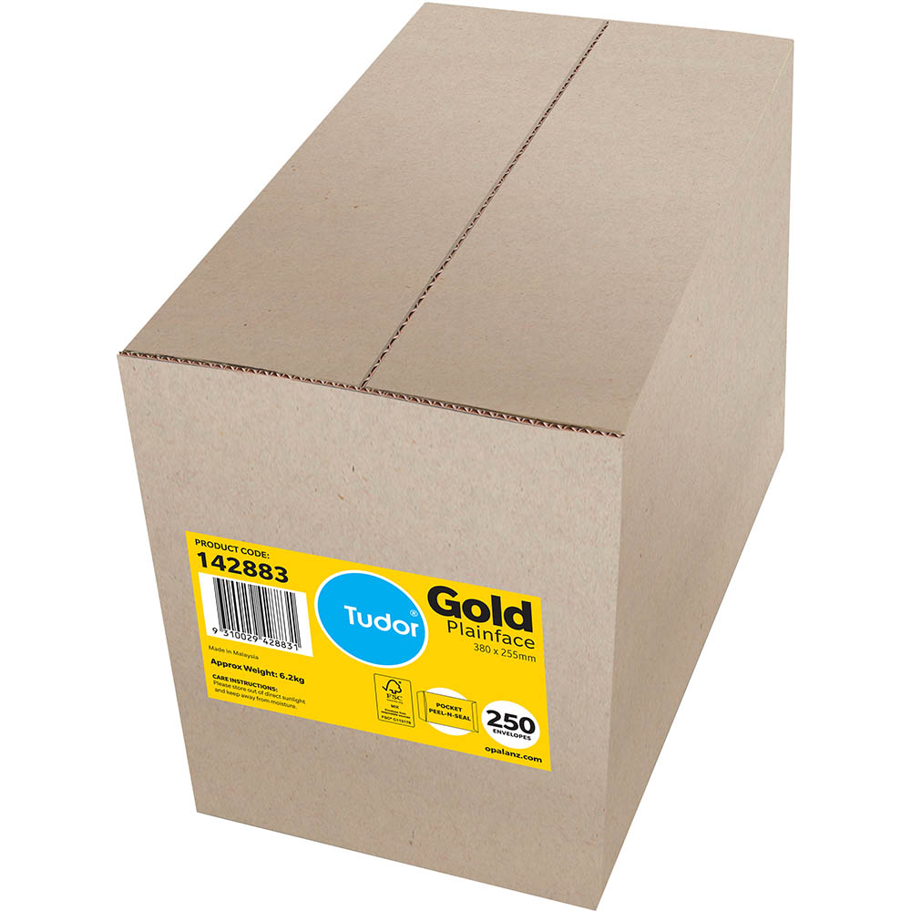 Image for TUDOR ENVELOPES POCKET PLAINFACE STRIP SEAL 100GSM 380 X 255MM GOLD BOX 250 from BusinessWorld Computer & Stationery Warehouse