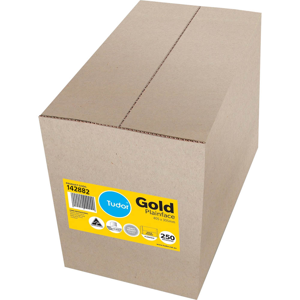 Image for TUDOR ENVELOPES POCKET PLAINFACE STRIP SEAL 100GSM 405 X 305MM GOLD BOX 250 from That Office Place PICTON