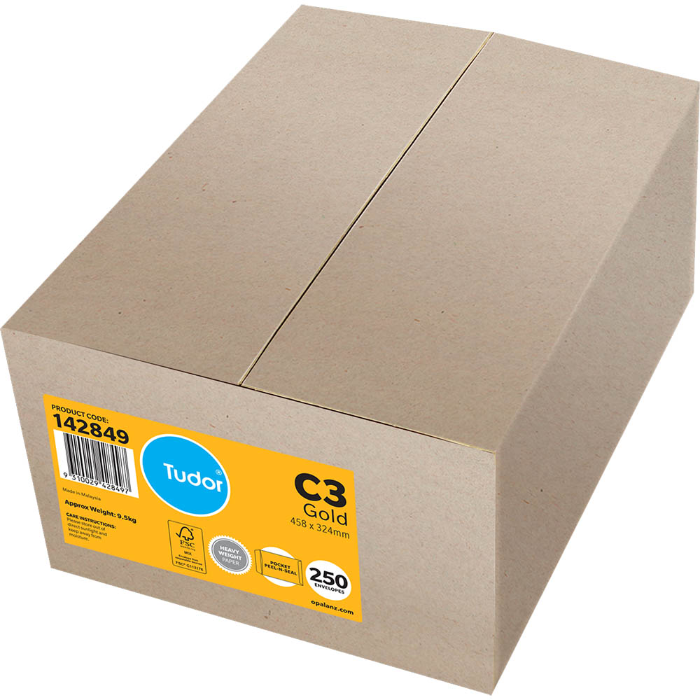 Image for TUDOR C3 ENVELOPES POCKET PLAINFACE STRIP SEAL 100GSM 458 X 324MM GOLD BOX 250 from Office Express