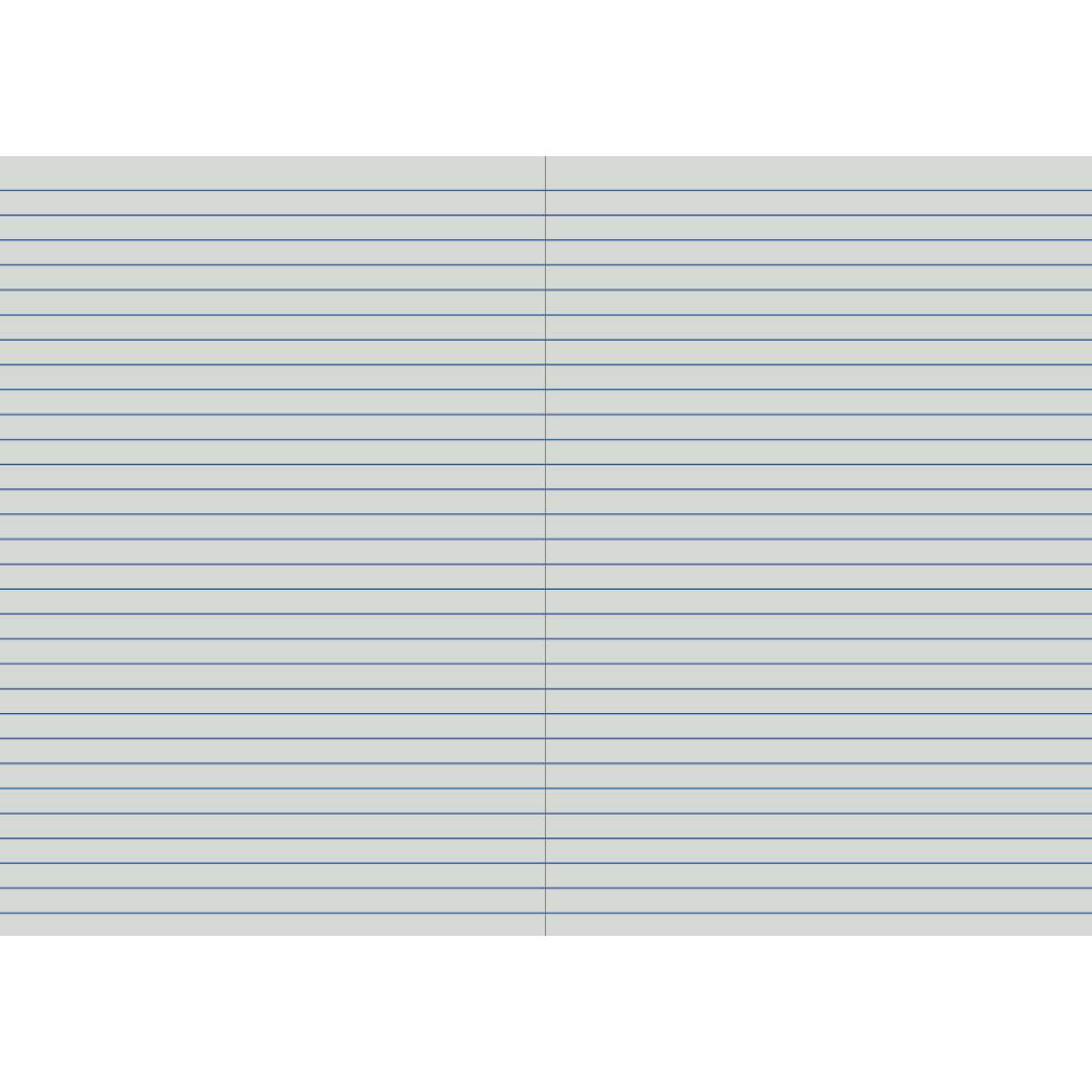 WRITER STUDENT NOTEBOOK 8MM SINGLE RULED 64 PAGE 250 X 175MM GREEN |  | 7032723i