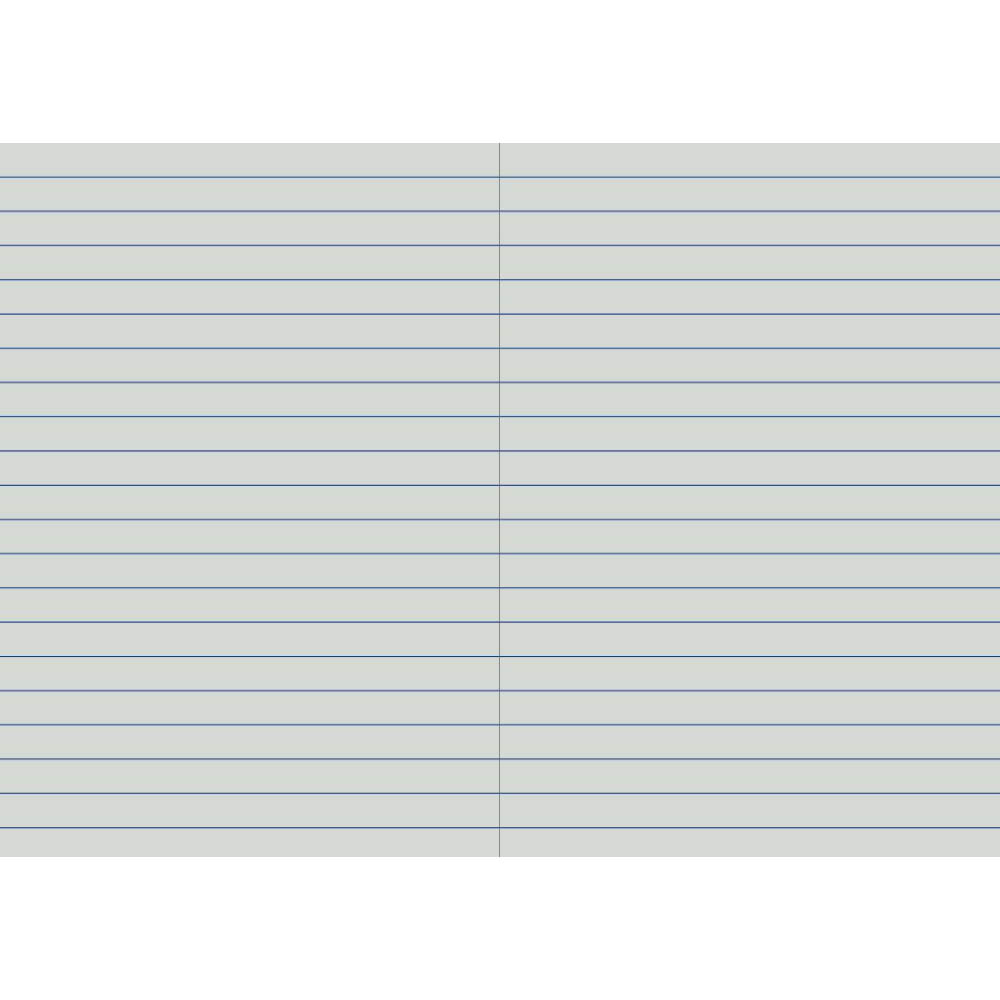 WRITER STUDENT NOTEBOOK 12MM SINGLE RULED 64 PAGE 250 X 175MM RED |  | 7032725