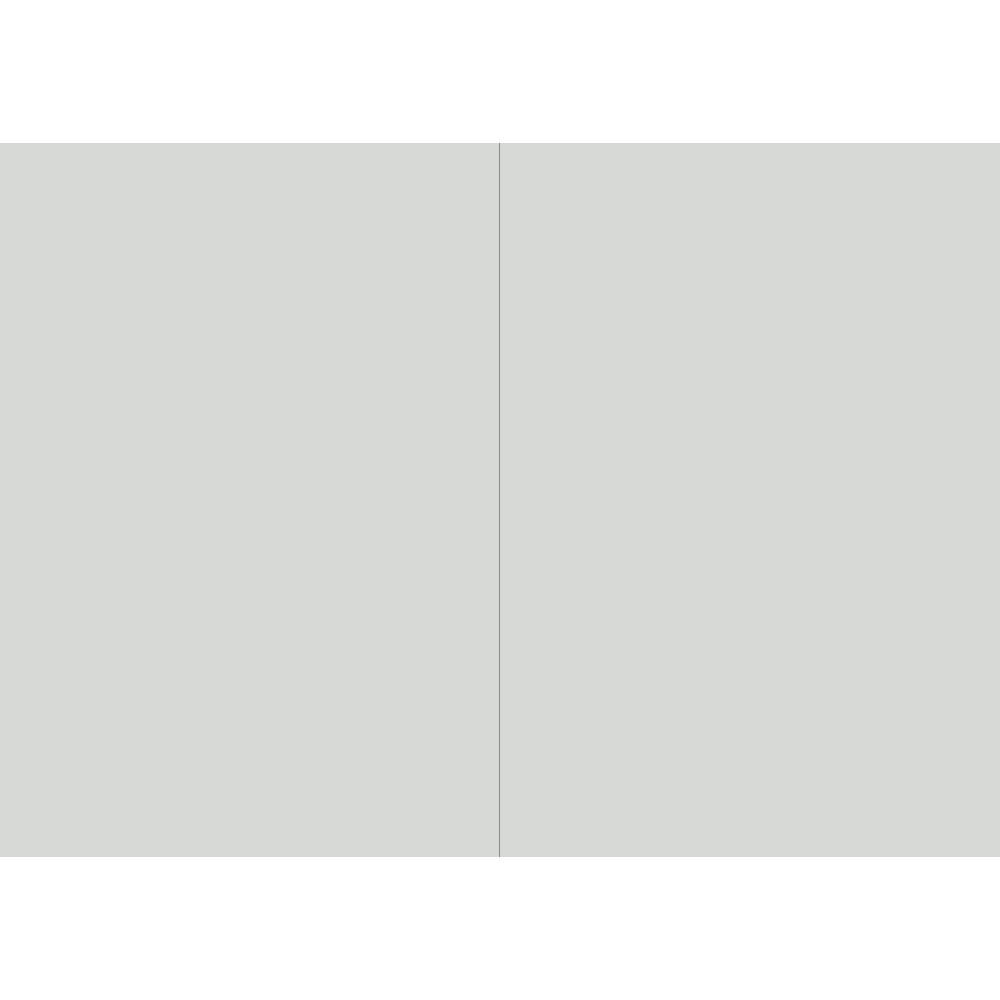 WRITER STUDENT NOTEBOOK PLAIN 64 PAGE 250 X 175MM BUFF |  | 7032726