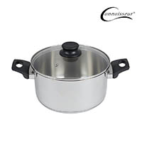 connoisseur stainless steel stockpot with glass lid 240mm silver