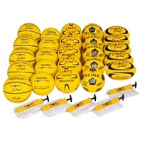 primary school ball kit set 25 balls plus carry bags and pumps