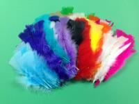 coloured turkey feathers (pack 250)